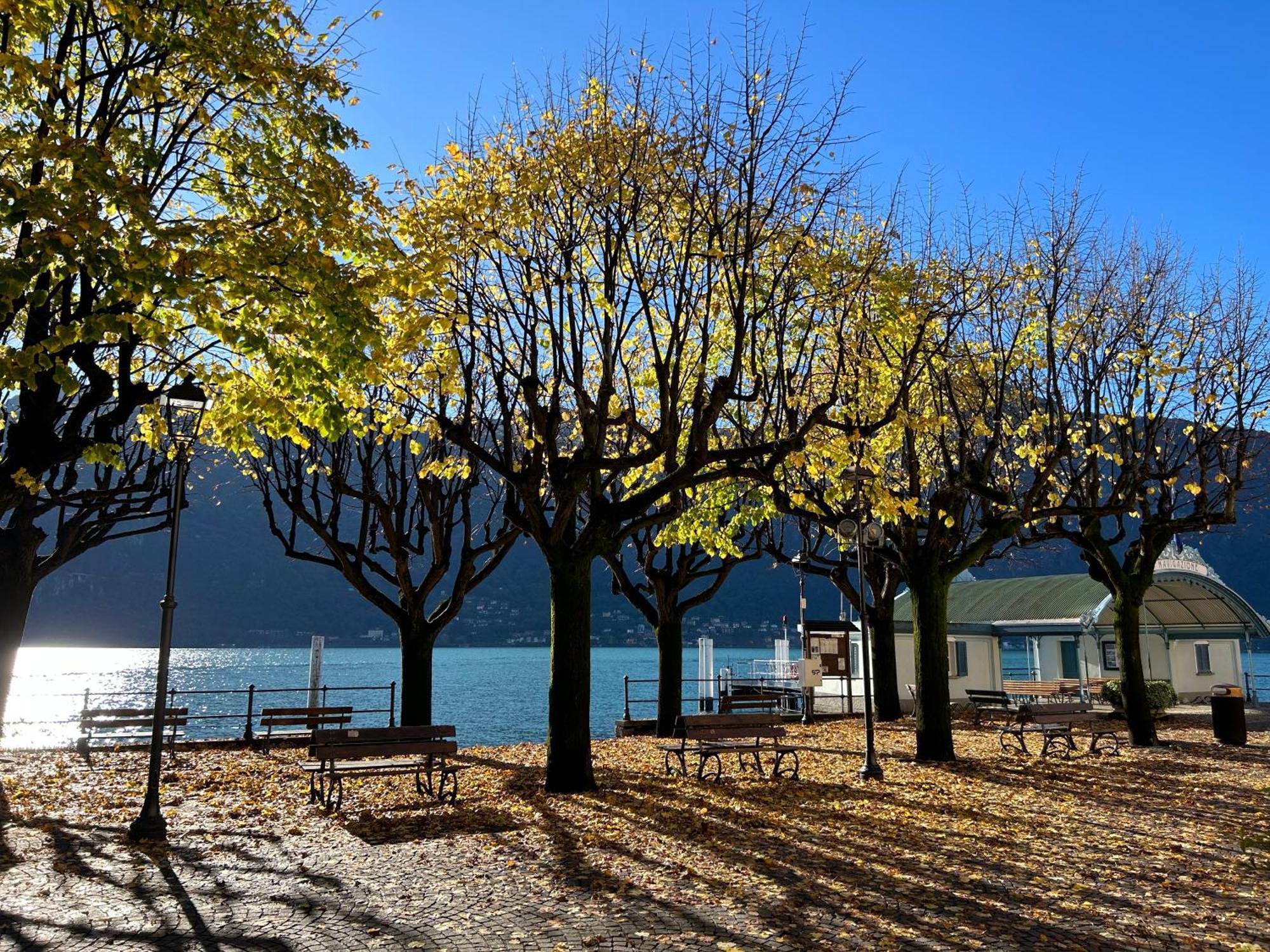 Il Mallo Verde - Lake Como B&B Манделло-дель-Ларио Экстерьер фото