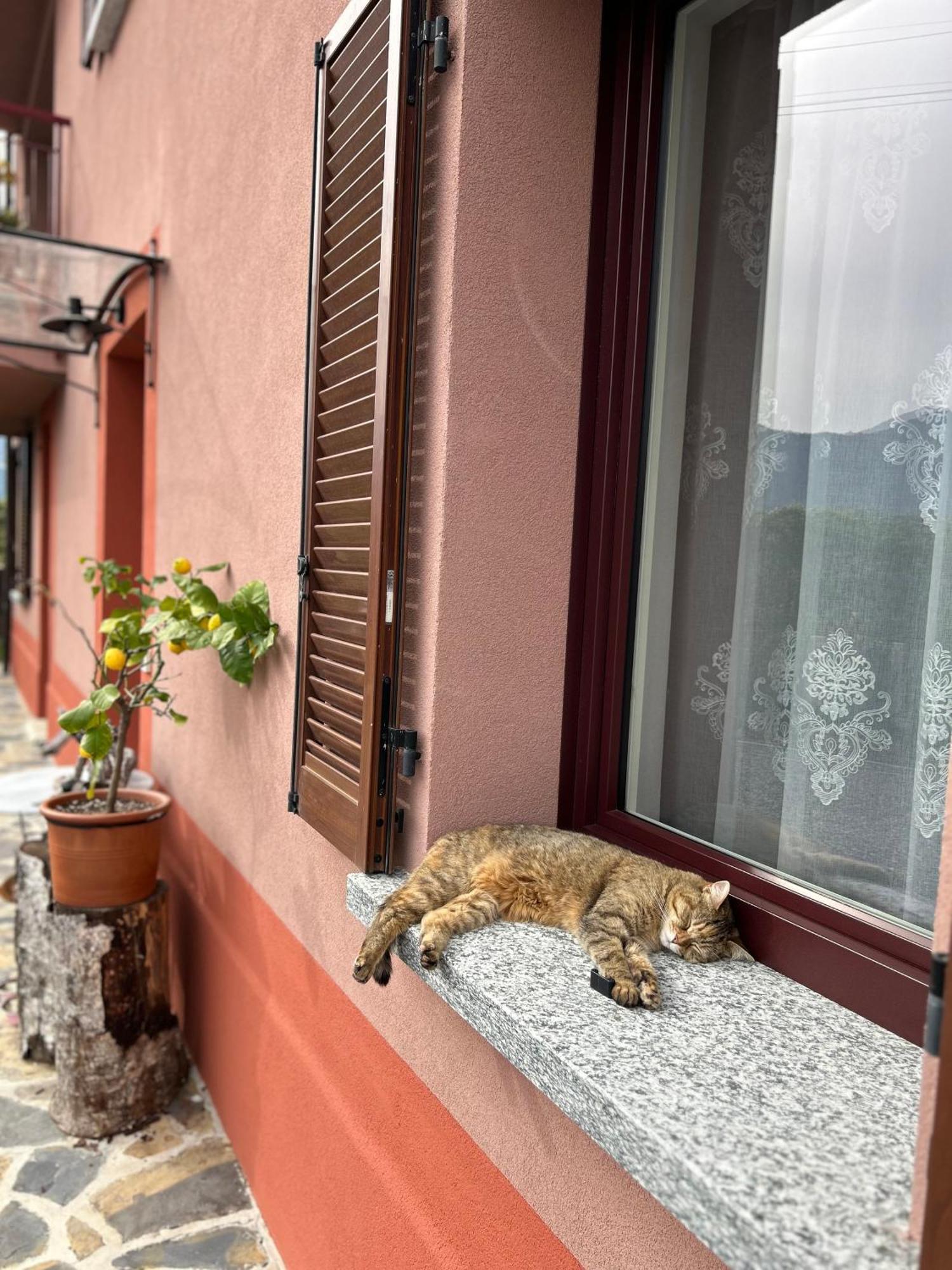 Il Mallo Verde - Lake Como B&B Манделло-дель-Ларио Экстерьер фото